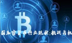 中国加密货币行业现状：挑战与机遇