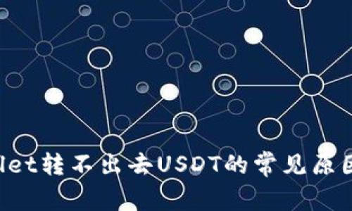 优质 TPWallet转不出去USDT的常见原因及解决方案
